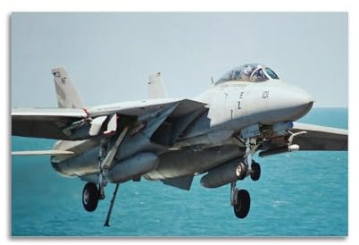 FYRCO Poster Militärische Kampfflugzeuge, F14, Tomcat Fighter Jet, dekoratives Gemälde, Leinwand, Poster, 40 x 60 cm