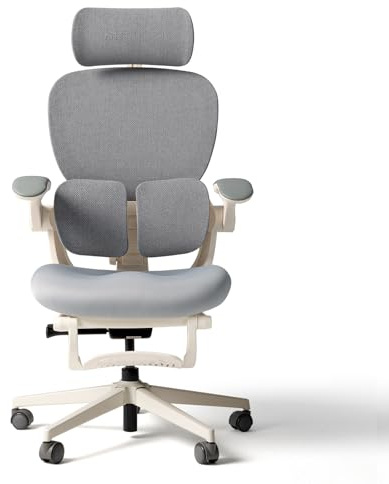 HINOMI Q2 Ergonomic Office Chair with Lumbar Support & Adjustable Headrest, Mesh Seat with Flip-Up Arms, Reclining Computer Seating with Footrest, Stylish Desk Model for Home (Grey)