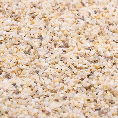 Premium Pebbles Grobsand. Goldfarben. 0,3 cm, 2,3 kg. Für Blumenerde, Sukkulenten, Töpfe, Pflanzen, Gartenarbeit, Innenbereich, Basteln, Vasenfüller (X-Mini (0,3 cm), grober Sand - Gold, 5)
