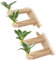Meowoou 2 Lots Étagères Murales pour Chat, Escaliers Muraux avec Grattoir en Jute, Arbre à Chat Mural avec Feuilles (Droite)