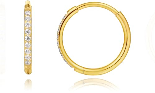 Limerencia Titan Creolen Ohrringe, G23 Implantat Grade reine Titan | Leichtgewicht Ring Ohrringe für Frauen Männer Empfindliche Ohren