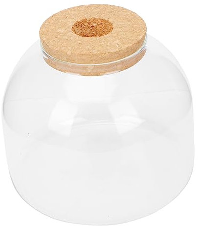 TINEASUR Ökologische Glasflasche DIY Micro Landscape Bottle Mit Korkverschluss Transparenter Glasbehälter Für Frische Moos-Dekoration Kompakt Und Vielseitig Für Zuhause Und Büro