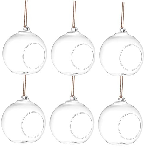 BESTonZON 6stücke Hängende Glasvase Pflanzen Terrarium Für Sukkulenten Dekoratives Pflanzgefäß Für Zuhause Und Garten Jute-Seil