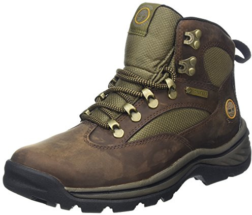 Timberland Chocorua Trail Mid with Gore Tex Membrane 15631, Damen Sportschuhe - Wandern, braun, (Brown w/Green), EU 36, (US 5 1/2), (UK 3 1/2)