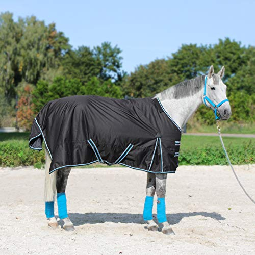 Pferdedecke Regendecke Horsenjoy Aristo Outdoordecke 600D 50g Weidedecke (145 cm)