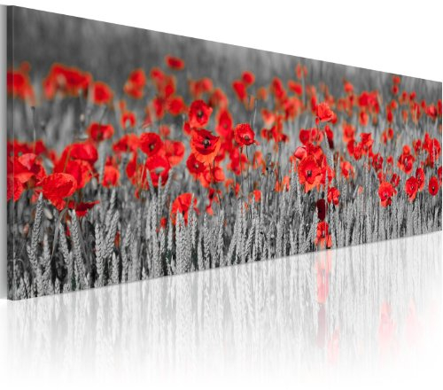murando - Akustikbild Blumen Mohn Bilder Akustikschaum Hochleistungsschallabsorber Schallschutz Leinwand 1 tlg Wandbild Raumakustik Schalldämmung Wiese rot grau 9060126