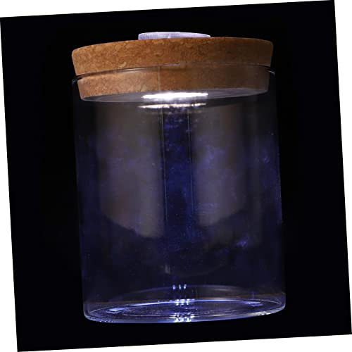 HOLIDYOYO Vaso Per Terrario Con Luce Led Bottiglia Per Micropaesaggio Semplice Terrario Per Piante Mini Acquario Decorazione