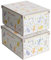 Lavatelli SET 2 Cajas organizadoras de almacenamiento ropa, almacenaje decorativas en carton, 39x50x24cm, para armario, baul, bolsas, ropa, juguetes, jardineria, con tapa, GATITOS