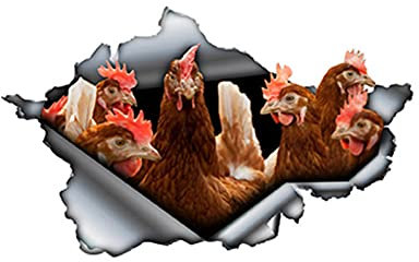 2 stücke Braune Hühner Autoaufkleber Zerrissenes Metall Aufkleber Reflektierende Aufkleber Wasserdichte Autoaufkleber 3D Auto Styling Bauernhof Aufkleber 13 cm x 7,9 cm Auto Aufkleber