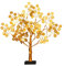 Geldbaum Feng Shui Gold Glücksbaum,Citrine Money Tree Pfennigbaum Kristall Feng Shui Deko with Glücksmünzen und Base für Reichtum Glück Hause Deko (1 Stück)