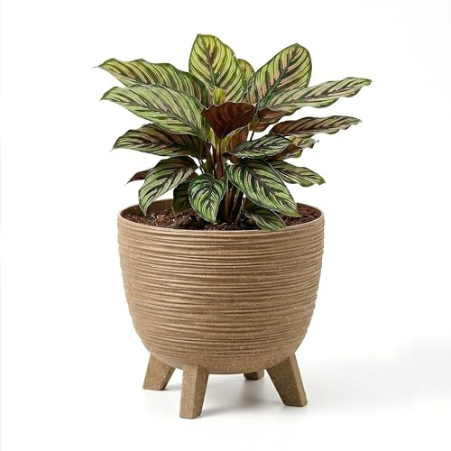 GEEZY Brown Plant Pot with Legs, 29 cm - Weather Resistant Indoor & Outdoor Planter - Modern Textured Flower Pot for Living Room, Garden & Patio