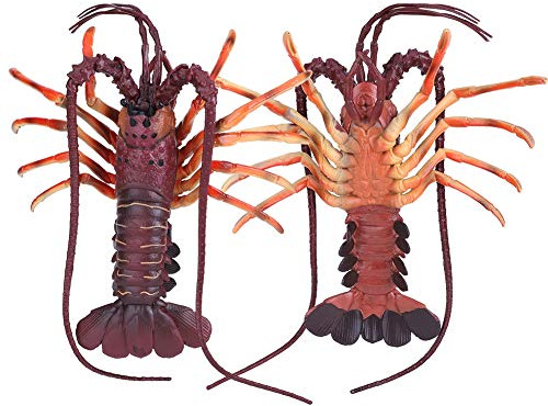 Dioche Gros Homard Faux Jouet de Simulation de Homard en Plastique Souple – Décoration Sûre et Non Toxique pour Les Restaurants de Fruits de Mer, Les Accessoires de Scène et Les Jeux pour Enfants –