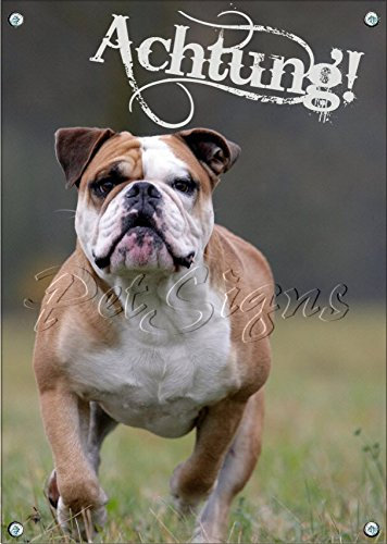 Petsigns English Bulldog - Hunde Warnschild - Achtung! Metallschild TOP, DIN A5