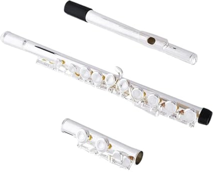 Flauto Flauto a 16 fori aperto in chiave C Cupronichel Custodia per strumenti musicali trasversali flauta argentata