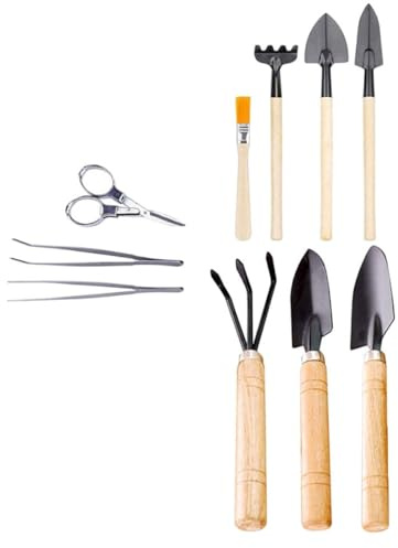 YARNOW 10 Stück Sukkulenten Pflanzwerkzeug aus Langlebigem Holz Kleiner Umpflanz Gartenhandwerkzeug für Bonsai Zimmerpflanzen Vielseitig für Bodenbearbeitung und Pflege