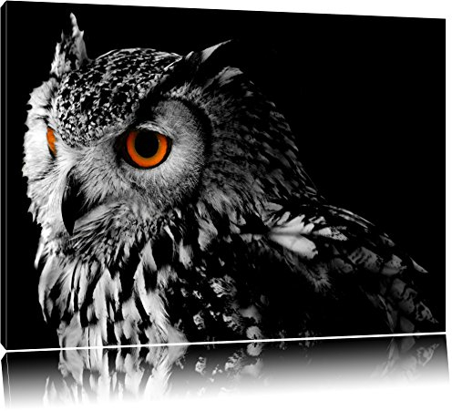 Pixxprint Dark Eule mit orangen Augen, Größe: 100x70cm, Leinwandbild, fertig gespannt, Wandbild, Dekoration, Kunstdruck, kein Poster