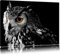Pixxprint Dark Eule mit orangen Augen, Größe: 100x70cm, Leinwandbild, fertig gespannt, Wandbild, Dekoration, Kunstdruck, kein Poster