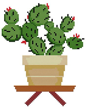 Awesocrafts Cross Stitch Stamped Kits Cactus Easy Patterns Cross Stitching Embroidery Needlework Kit Supplies (Cactus)