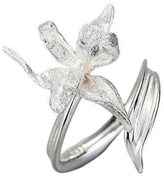 HGJH Ring Silber 925 Damen, S925 Sterling Silber Iris Ring Verstellbare Ringe Mode Eleganz Offener Ring Silber Ewigkeitsring Hochzeit Charme Schmuck Geschenke Für Mädchen Damen