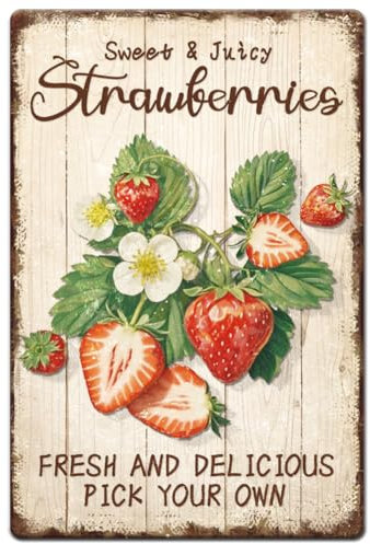 Hobbspring 1 Stück Vintage Blechschild Aus Metall 20x30cm Retro Erdbeerschild Aus Eisen Süße Saftige Erdbeere Pflücken Sie Ihr Eigenes Poster Für Bauernhaus Landmarkt Obstverkäufer Heimdekoration