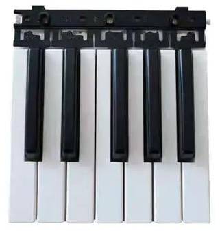 Klaviertasten Electronic Organ Black Aand White Keys(61 keys in total)