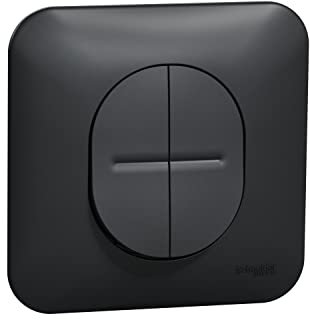 Schneider Electric - Ovalis - Double poussoir à fermeture - à vis Avec plaque de finition -Anthracite - S460216