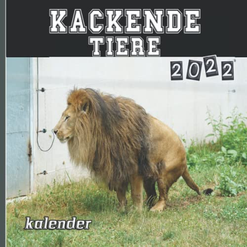 Kackende Tiere Kalender 2022: Ein Monatskalender | Januar bis Dezember 2022 | Lustiger Tier Kalender für Tierliebhaber | Geschenke für Tierliebhaber, ... Freunde, Kollegen, Geburtstag Weihnach