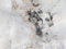 Muralo - 3D Tapete Vliestapete - Fototapete 3d Effekt - Tapete für Wohnzimmer Schlafzimmer Wandtapete - abstrakte Fototapete - Frau mit Blume auf Beton Motiv - Br. 400cm x Hö. 280cm