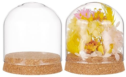BENECREAT 2 juegos de cúpula de cristal con base de corcho, 8 x 7,2 cm, centro de mesa, tarro de campana para plantas de flores, especímenes, manualidades, decoración, diámetro interior: 76 mm