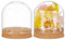 BENECREAT 2 juegos de cúpula de cristal con base de corcho, 8 x 7,2 cm, centro de mesa, tarro de campana para plantas de flores, especímenes, manualidades, decoración, diámetro interior: 76 mm