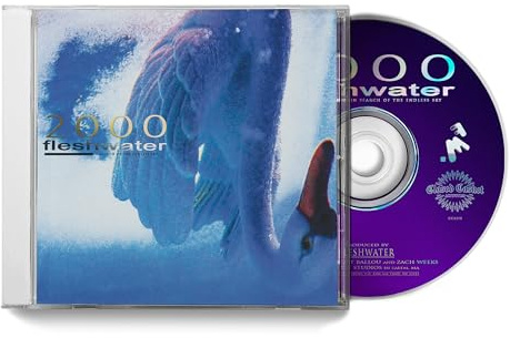 2000: In Search Of The Endless Sky