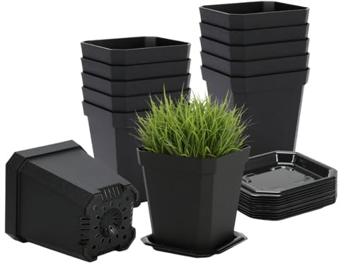 trabag Lot de 10 pots de culture ronds avec dôme d'humidité et couvercle, petits pots de fleurs en plastique transparent de 10,5 cm de diamètre pour plantes succulentes, orchidées, graines et boutures
