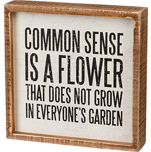 Primitives by Kathy Common Sense Schild aus Holz