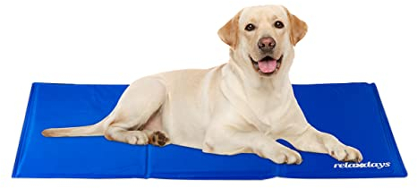 Relaxdays Kühlmatte Hund, selbstkühlend, abwischbar, robust, mit Gel, Kühldecke für Tiere, Kältedecke 60 x 100 cm, blau, 1 x 100 x 60 cm