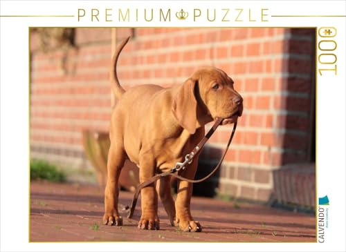 CALVENDO Puzzle Lass Uns Gassi gehen! | 1000 Teile Lege-Größe 64 x 48 cm Foto-Puzzle für glückliche Stunden