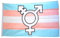 Flaggenfritze® Flagge/Fahne Transgender Pride Symbol - 90 x 150 cm