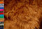 STOFFBOOK PFLEGELEICHT KUSCHEL FELL DECKEN REQUISITEN FOTOSHOOTING ACCESSOIRES DEKOFELL LONGHAIR FOTOGRAFIE STOFFE, D959 (Camel)