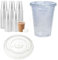 ARA CHOICE Clear Disposable Plastic Smoothie Milkshake Pint Hot & Cold Drink Round Glasses Cups with Flat Lids (100, 9oz/200ml (Small))