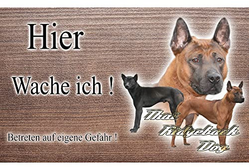 Warnschild Hund oder Warnzeichen Thaï Ridgeback 30 cm