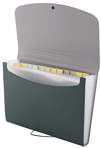 D.RECT 5888 Fächermappe | Dokumenten Organizer | Ordnermappe mit Fächern | Dokumentenmappe 12 Fächer A4 - Grün, 7539