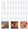 LIHAO Gutter Hooks - 100 PCS S-Shaped Gutter Clips for Outdoor Christmas Lights & Tree Ornaments