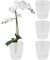Santino Set-Di-4 Vasi Per Orchidee D 12 cm Vaso Autoinnaffiante Con Sistema Stoppino Indicatore Del Livello Dell'acqua Per Interni (Ø 12cm - 1,3L - Transparente)