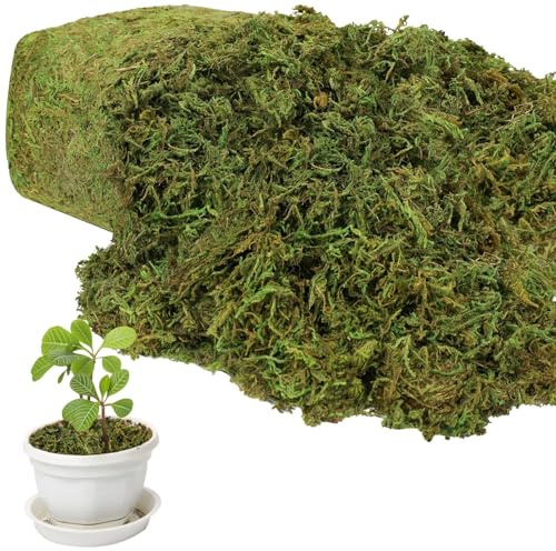 17.6 OZ Large Capacity Artificial Moss for Potted Plants and Crafts
