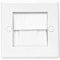 Evoges Brush Faceplate White Brushplate Wall Plate (Pack of 1, 1 Gang Single)