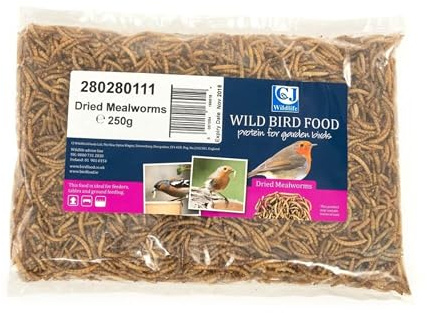 CJ Wildlife Mehlwürmer getrocknet – Mehlwürmer Vogelfutter – Wildvogelfutter ganzjährig – Eiweißreich für Muskeln und Federwachstum