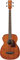 Ibanez Acoustic PCBE12MH-OPN Open Pore Natural