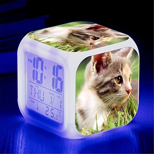 Katze Wecker, Wecker Digital mit LED Nachtlicht Beleuchteter Nachttischuhr Kindertagsgeschen für KinderJungen und Mädchen (F)