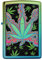 Zippo Sturmfeuerzeug - Cannabis - Blue Green High Polish Teal Finish, Color Image - Nachfüllbar - Wiederverwendbar - Windfest - Geschenkbox - Made in USA