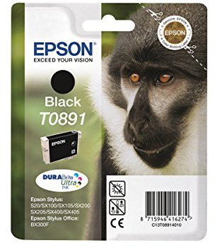 Epson T0891 - Print cartridge - 1 x black