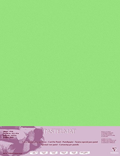 Clairefontaine 96158C Packung (mit 5 Zeichenbögen Pastelmat, 70 x 100 cm, 360 g, ideal für Trockentechniken und Pastell) hellgrün